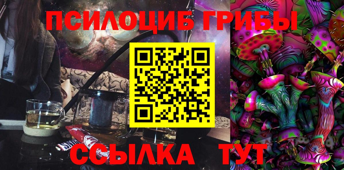 Биробиджан  наркота  Вход с VPN  Галлюциногенные грибы Cubensis  Псилоцибиновые грибы прущие грибы 